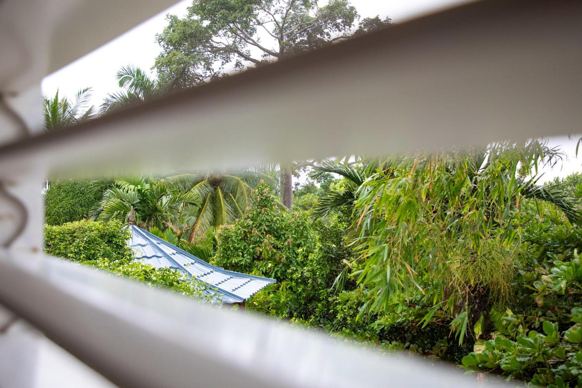 Drapers Lf Jungle Retreat酒店 外观 照片