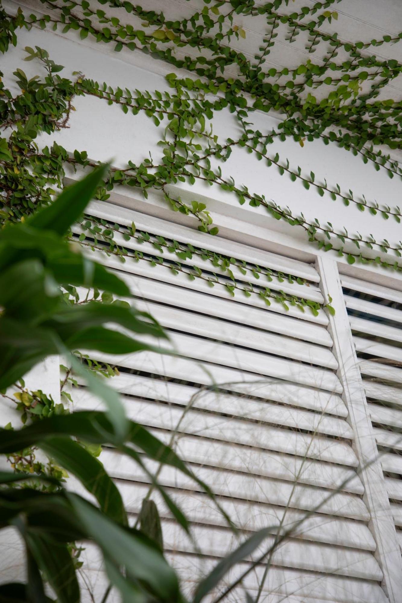 Drapers Lf Jungle Retreat酒店 外观 照片